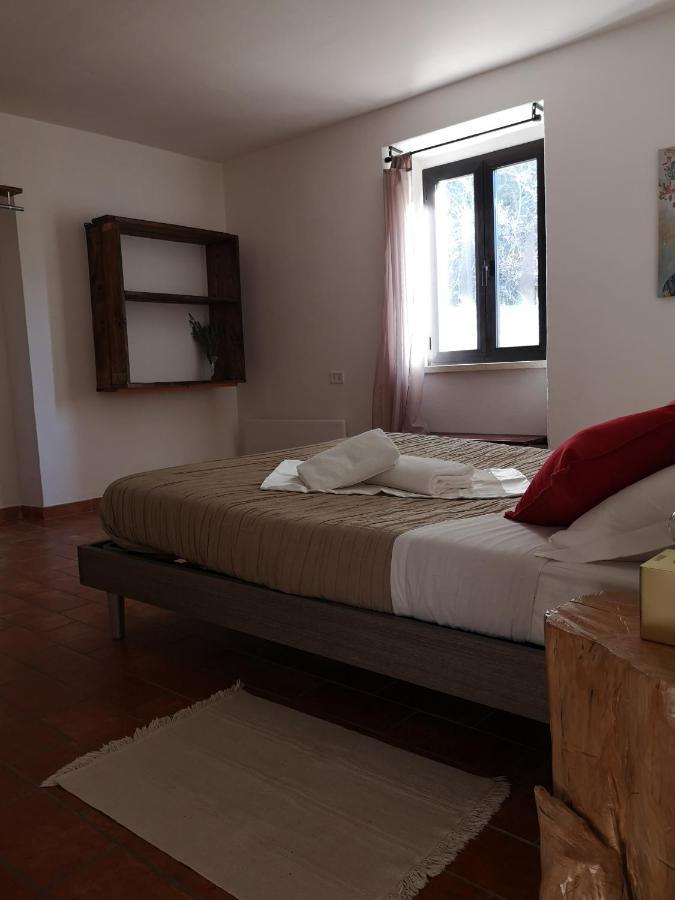 Villa Agriturismo Il Noceto à Assise Extérieur photo